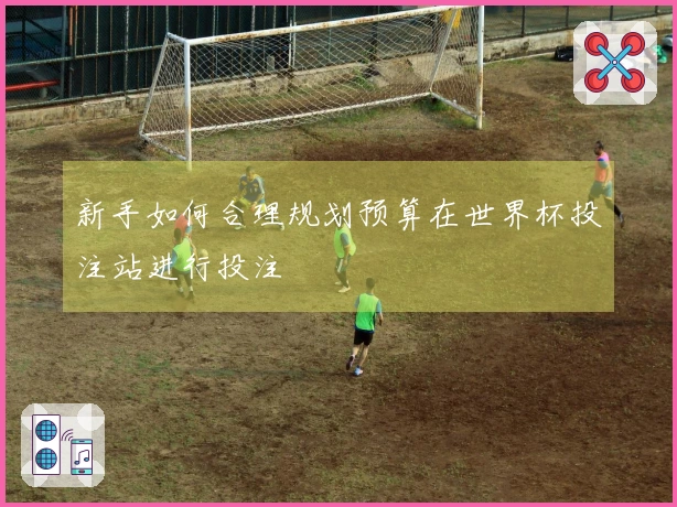 新手如何合理规划预算在世界杯投注站进行投注