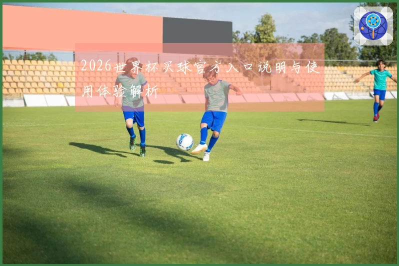 2026世界杯买球官方入口说明与使用体验解析