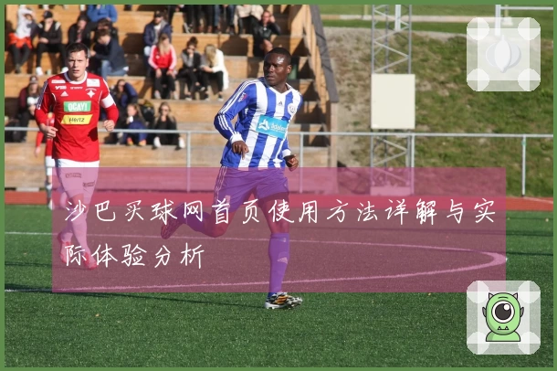 沙巴买球网首页使用方法详解与实际体验分析