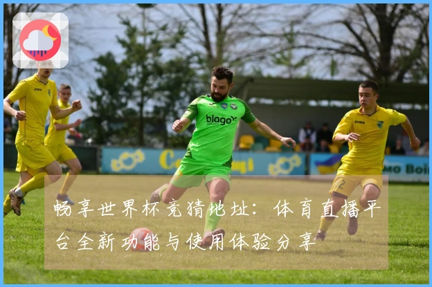 畅享世界杯竞猜地址：体育直播平台全新功能与使用体验分享