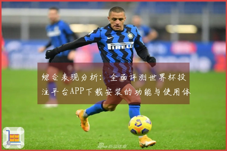 综合表现分析：全面评测世界杯投注平台APP下载安装的功能与使用体验