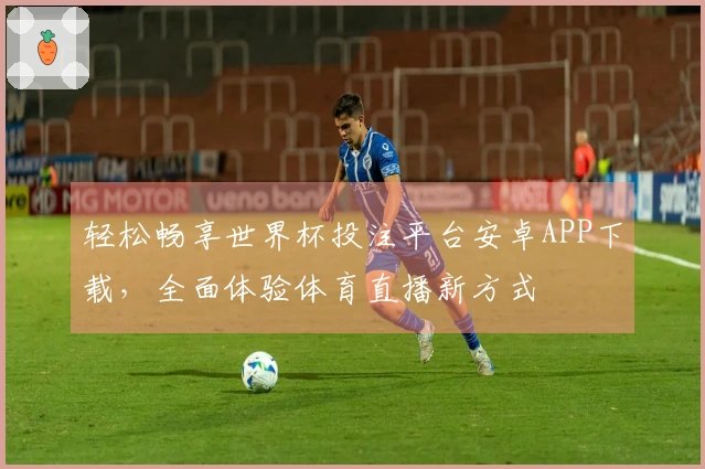 轻松畅享世界杯投注平台安卓APP下载，全面体验体育直播新方式