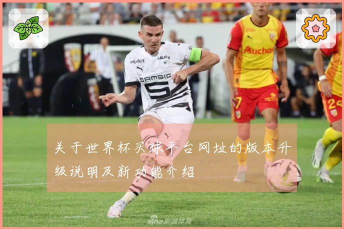 关于世界杯买球平台网址的版本升级说明及新功能介绍