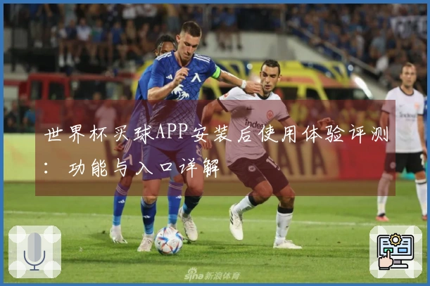 世界杯买球APP安装后使用体验评测：功能与入口详解