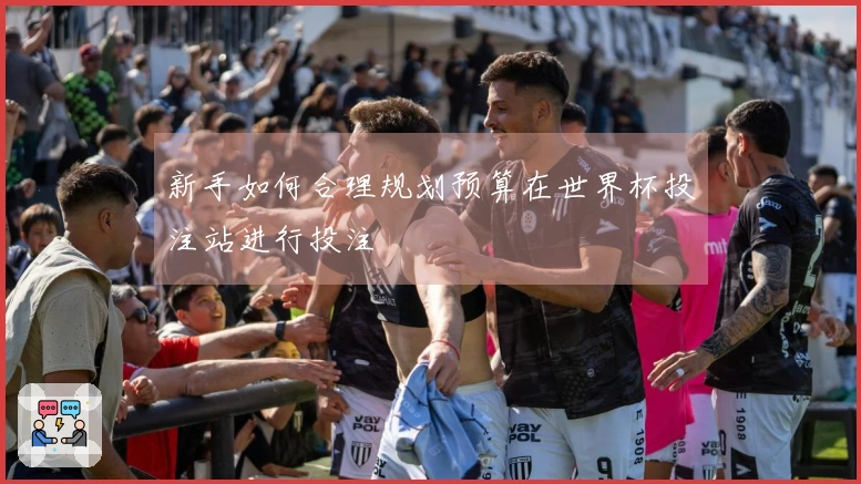 新手如何合理规划预算在世界杯投注站进行投注