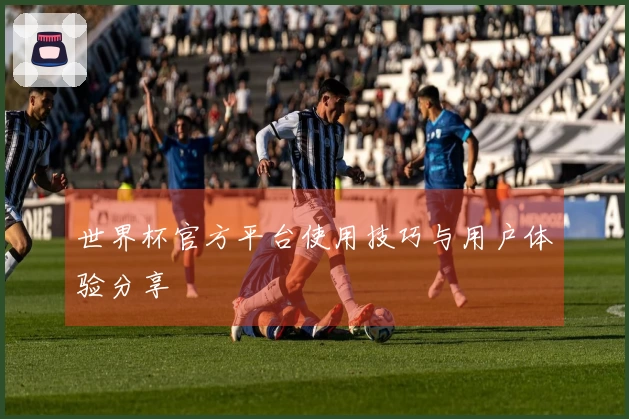 世界杯官方平台使用技巧与用户体验分享