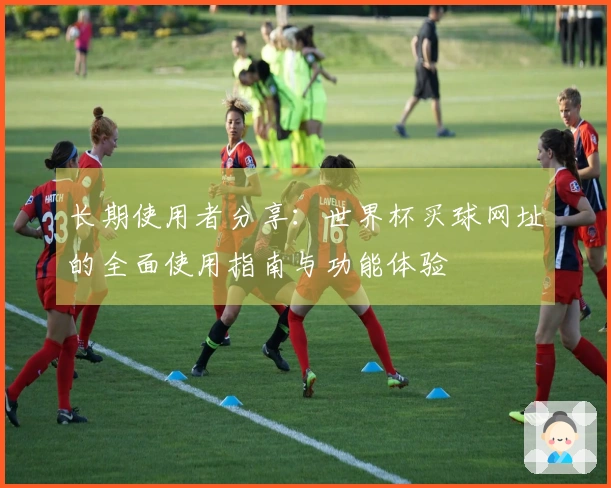 长期使用者分享：世界杯买球网址的全面使用指南与功能体验