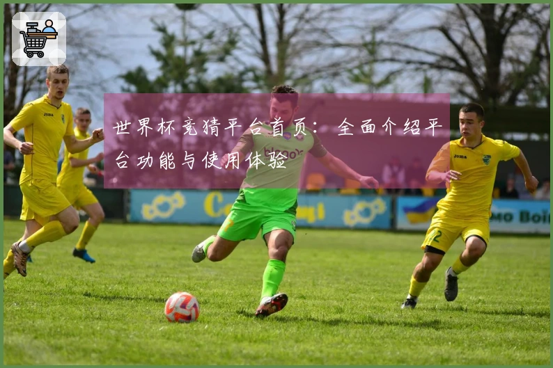 世界杯竞猜平台首页：全面介绍平台功能与使用体验